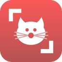 Cat Scanner: Breed Recognition 22.2.17-G