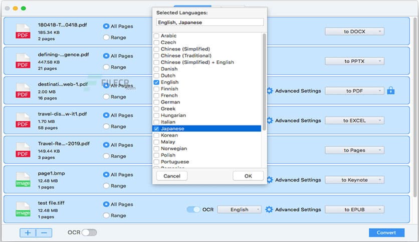 Cisdem PDF Converter OCR 8.2.0