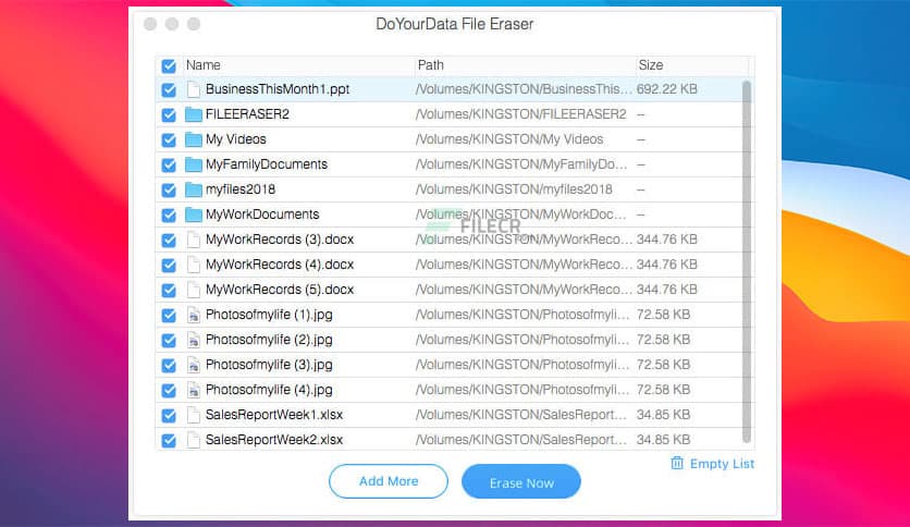 DoYourData File Eraser Professional 3.9