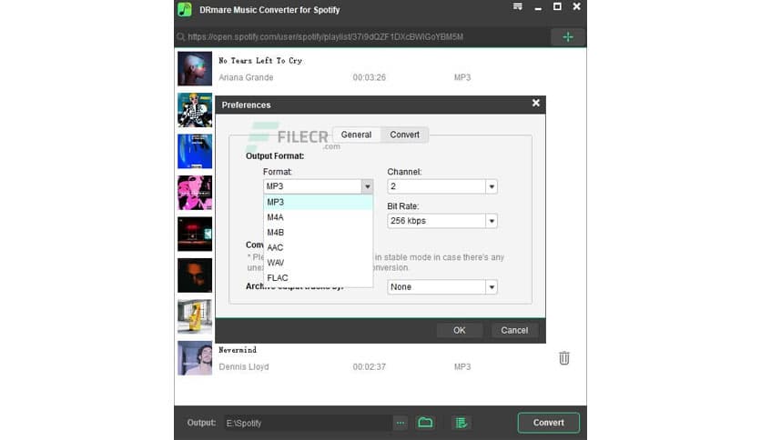 DRmare Spotify Music Converter 2.9.1.460