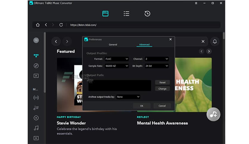 DRmare TidiKit Music Converter 2.11.0.130