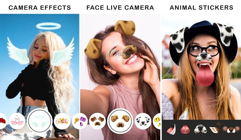FaceArt: Filters for Pictures 3.0.4.9