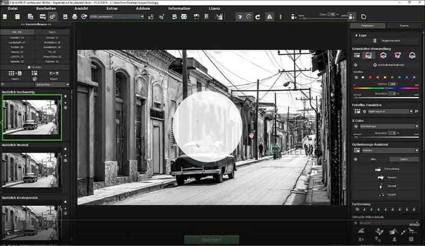 Franzis BLACK & WHITE Professional 8.25.04078