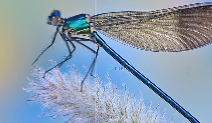 Franzis SHARPEN Video 3 professional 3.35.04132