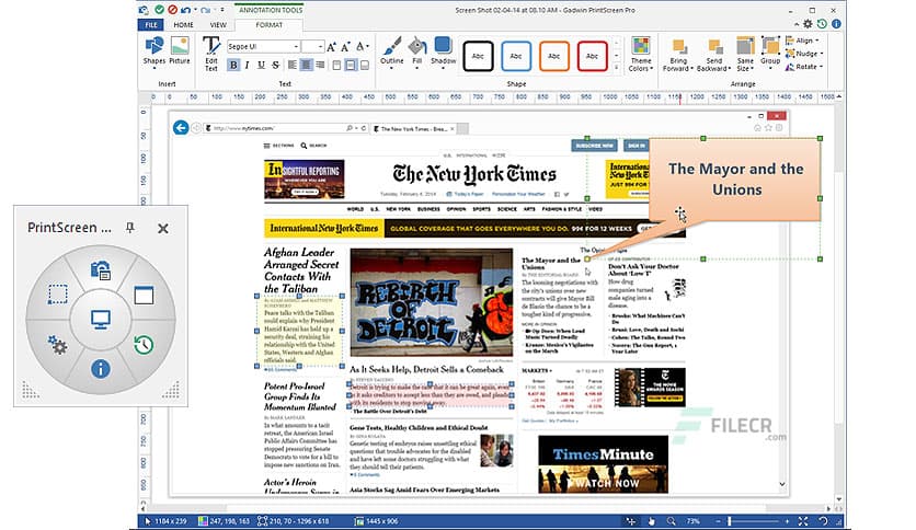 Gadwin PrintScreen Professional 6.5.0
