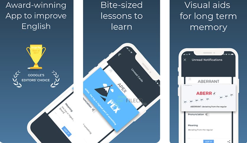Improve English: Vocabulary, Grammar 3.10.0