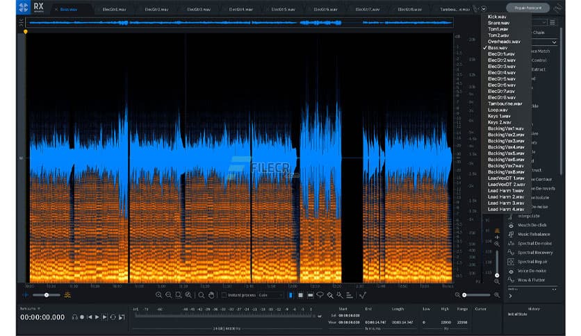 iZotope RX 11 Audio Editor Advanced 11.3.0