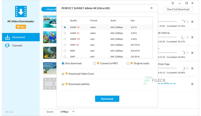Jihosoft 4K Video Downloader Pro 5.2.34