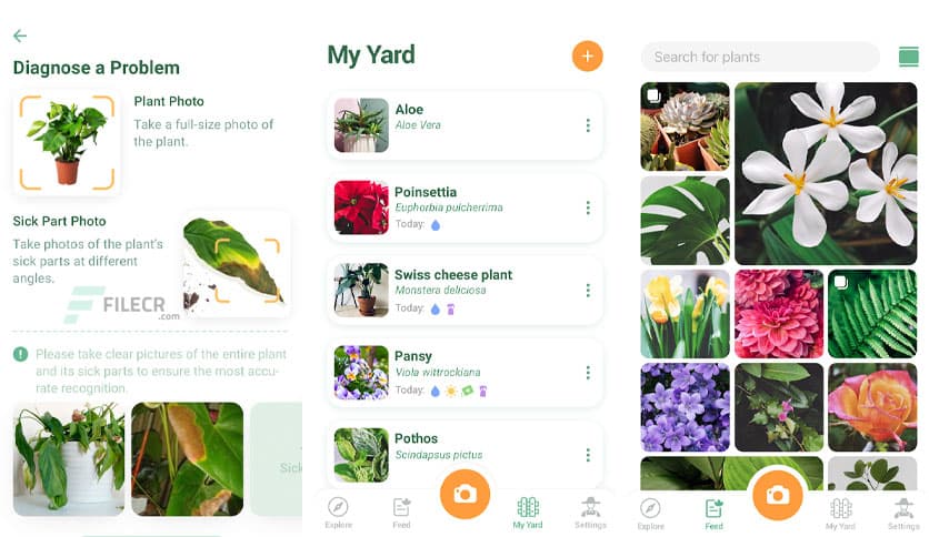 NatureID: Identify plants, flowers, trees & leaves v2.10.7