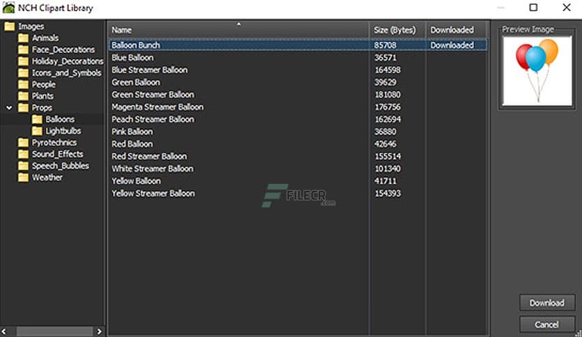 NCH PhotoStage Slideshow Producer Professional 8.05