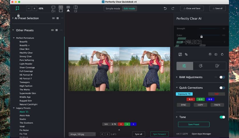 Perfectly Clear QuickDesk & QuickServer 4.4.0.2485