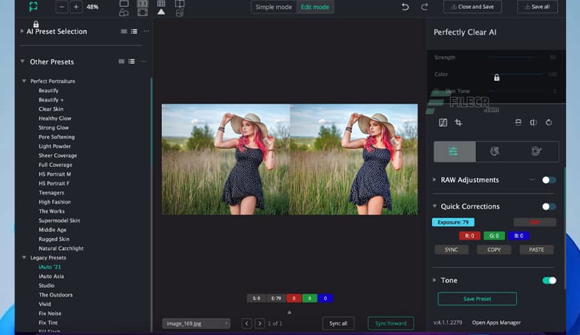 Perfectly Clear QuickDesk & QuickServer 4.2.0.2336
