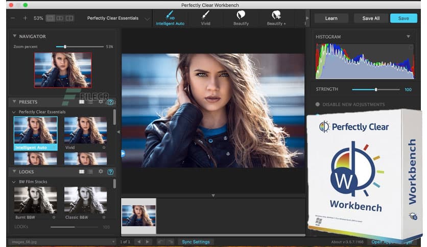 Perfectly Clear WorkBench 4.8.0.2871