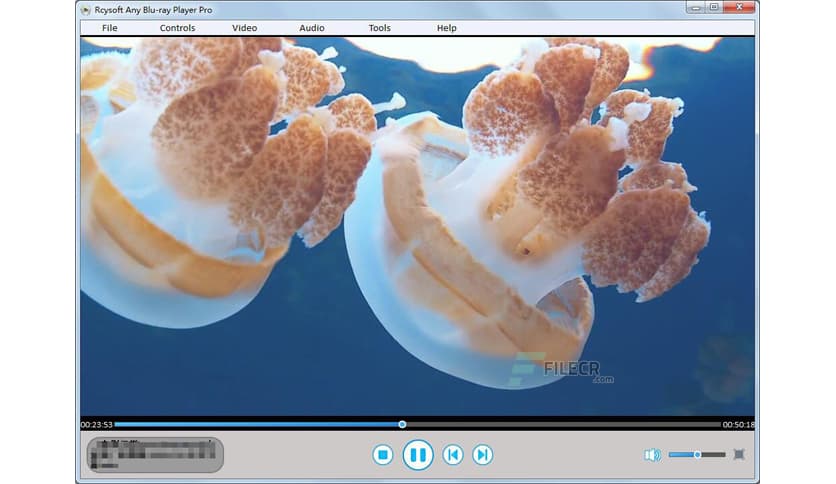 Rcysoft Any Blu-ray Player Pro 13.8.0.0