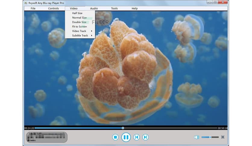 Rcysoft Any Blu-ray Player Pro 13.8.0.0
