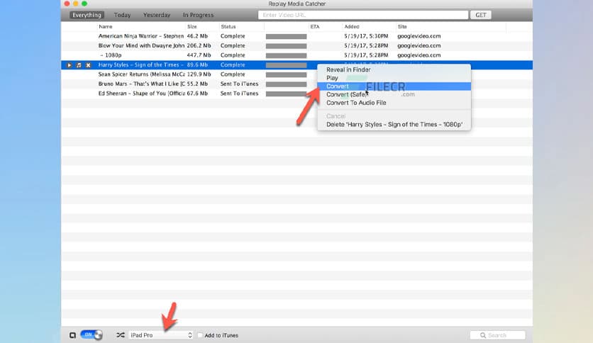 Applian Replay Media Catcher 3.0.2 (310)