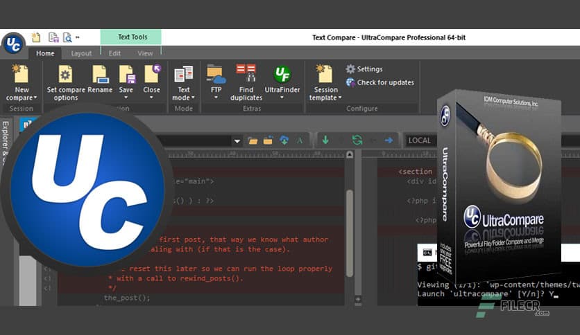 IDM UltraCompare Professional 25.0.0.10