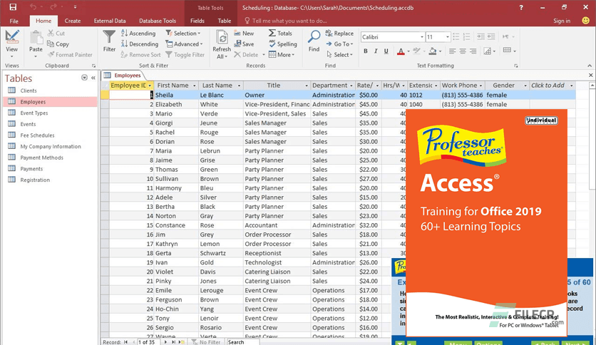 Professor Teaches Access 2019 v1.0