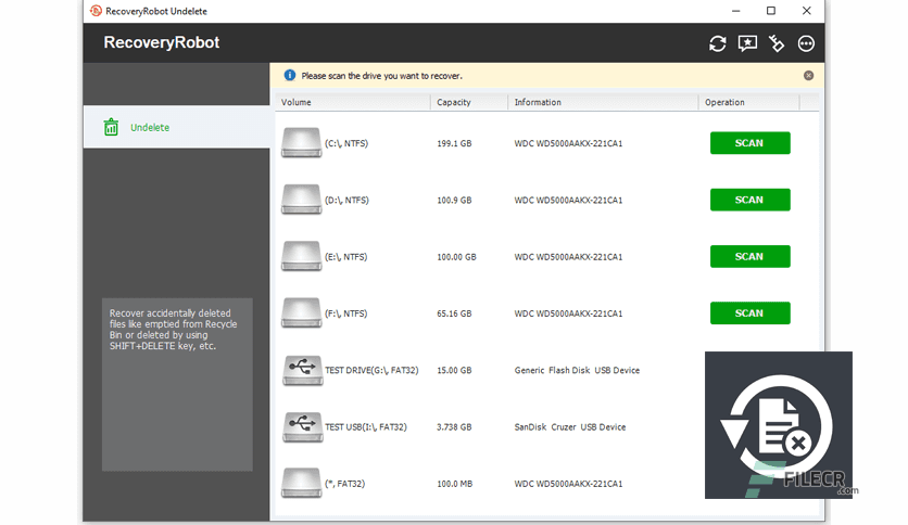 RecoveryRobot Undelete Expert 1.3.3