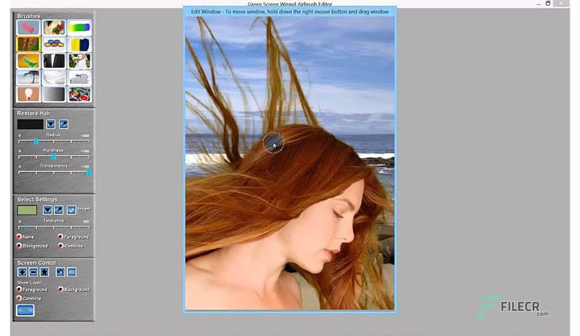 Green Screen Wizard Professional 15.0