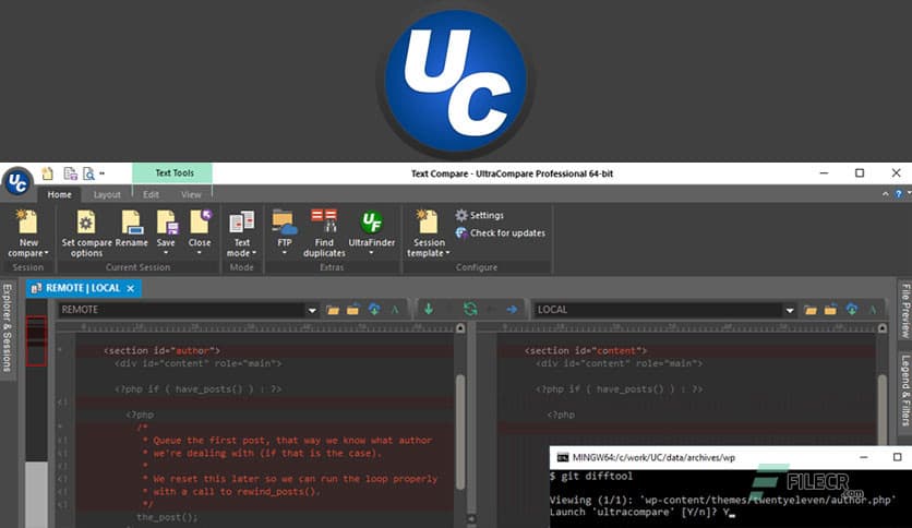 IDM UltraCompare Professional 25.0.0.10