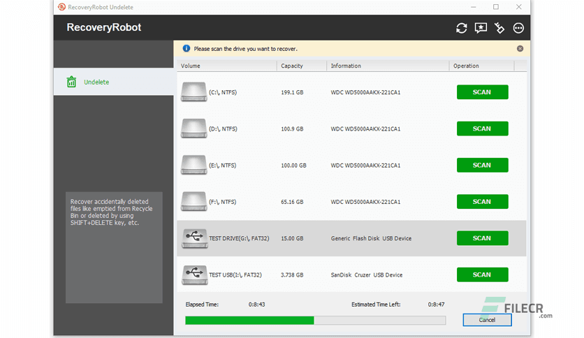 RecoveryRobot Undelete Expert 1.3.3