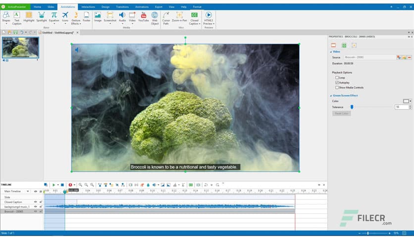 ActivePresenter Professional Edition 10.1.1