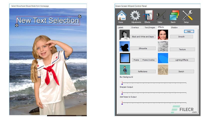 Green Screen Wizard Professional 15.0