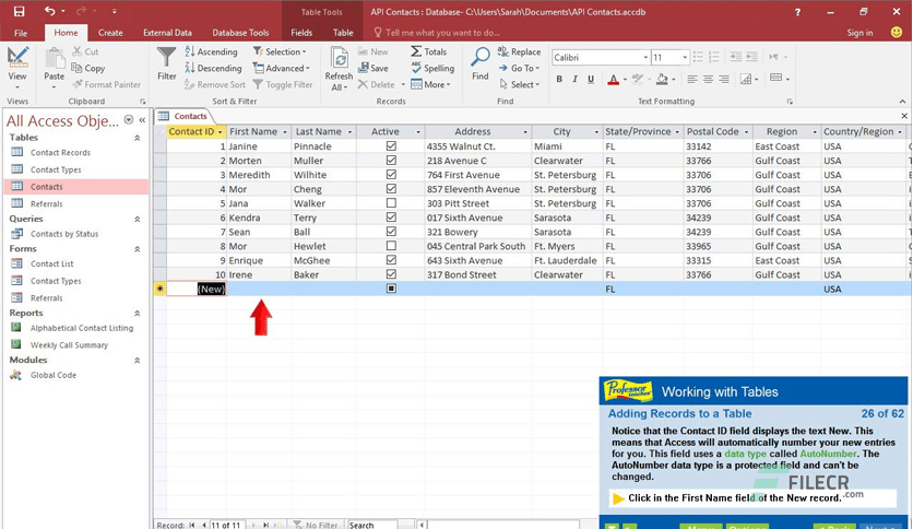 Professor Teaches Access 2019 v1.0