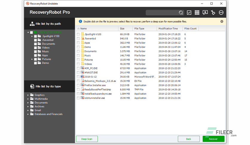 RecoveryRobot Undelete Expert 1.3.3