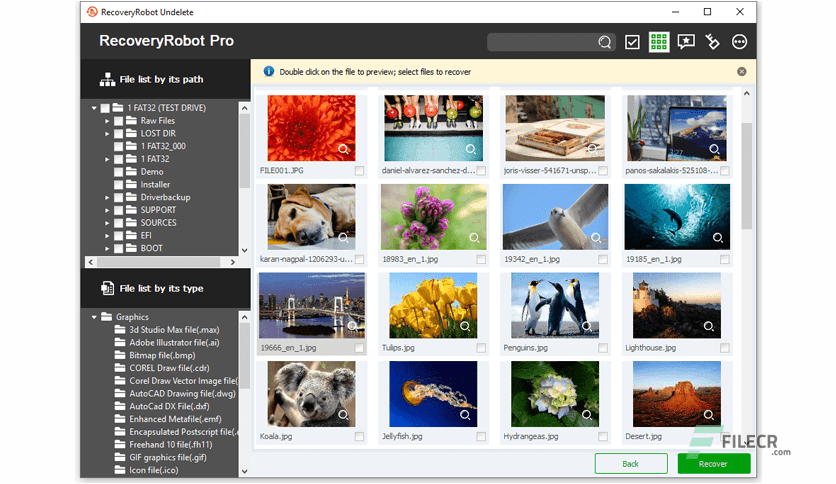 RecoveryRobot Undelete Expert 1.3.3