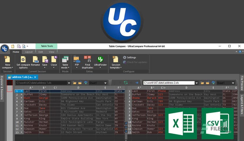 IDM UltraCompare Professional 25.0.0.10