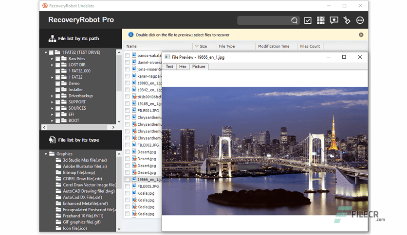 RecoveryRobot Undelete Expert 1.3.3