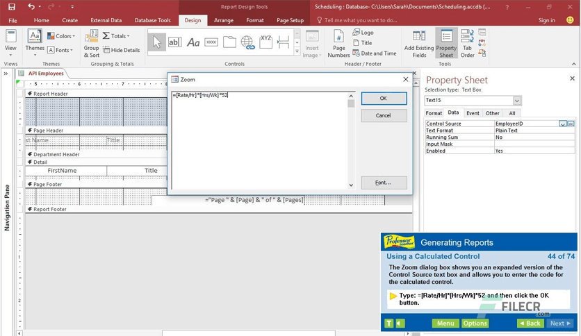 Professor Teaches Access 2019 v1.0