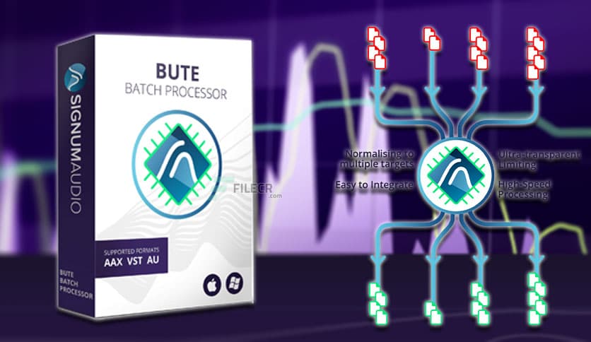 Signum Audio Bute Batch Processor v1.1.0