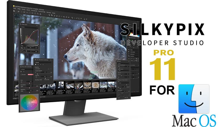 SILKYPIX Developer Studio Pro 11.0.17.0