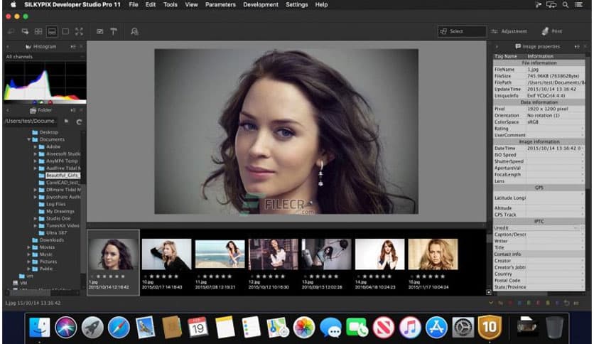 SILKYPIX Developer Studio Pro 11.0.17.0