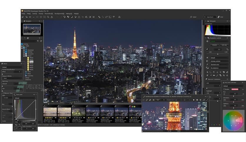SILKYPIX Developer Studio Pro for Panasonic 11.3.13.0