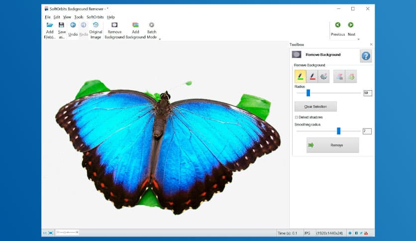 SoftOrbits Photo Background Remover 8.0