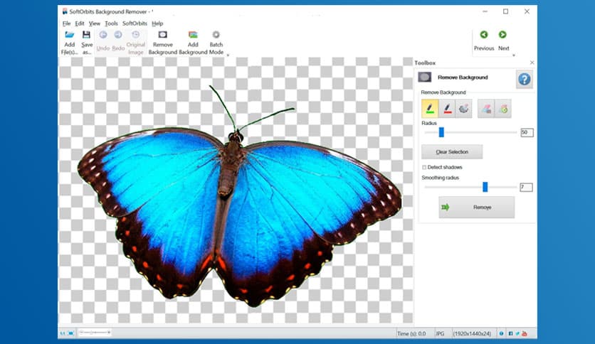 SoftOrbits Photo Background Remover 8.0