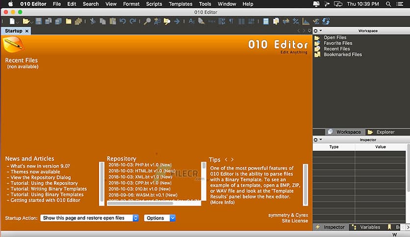 SweetScape 010 Editor 15.0