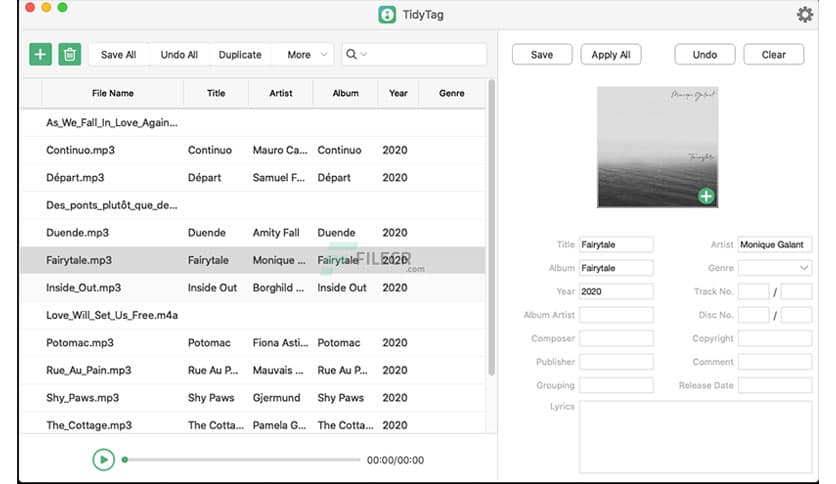 TidyTag Music Tag Editor 2.0.0