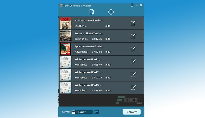 ViWizard Audible Converter 3.4.0.60