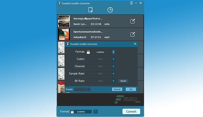 ViWizard Audible Converter 3.4.0.60