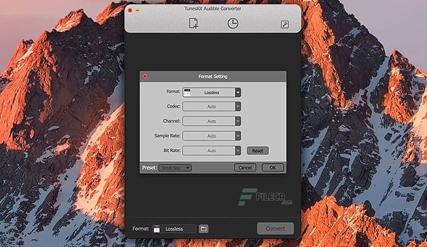 Viwizard Audible Converter 3.2.0