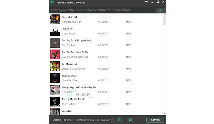 Viwizard Spotify Music Converter 2.18.0.108
